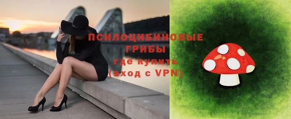 дмт Гусь-Хрустальный