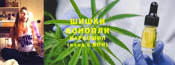 дмт Гусь-Хрустальный