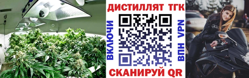 ТГК THC oil  Купить закладки  Ликино-Дулёво 