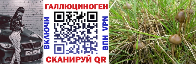 Галлюциногенные грибы мицелий  Купить  Ликино-Дулёво 